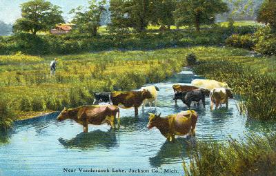 Near Vandercook Lake, Jackson Co., Mich.