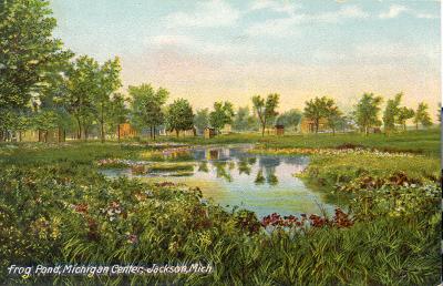 Frog Pond, Michigan Center, Jackson, Mich.