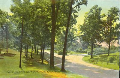 Along the Drive, Loomis Park, Jackson, Mich. 