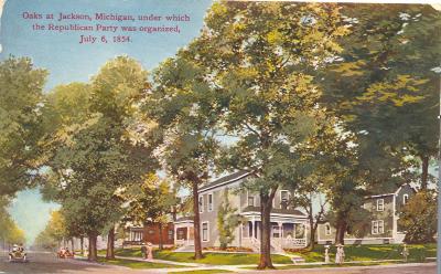Oaks at Jackson, Michigan, under which the Republican Party was organized, July 6, 1854.