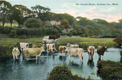 On Grand River, Jackson Co., Mich.