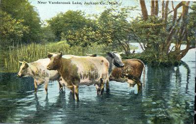 Near Vandercook Lake, Jackson, Co., Mich.