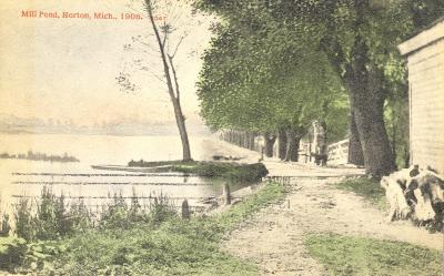 Mill Pond, Horton, Mich., 1908.