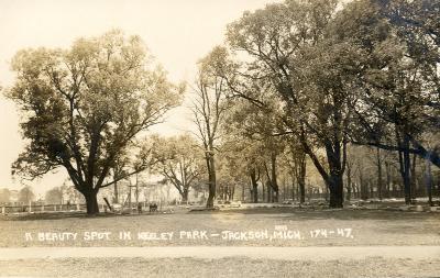 A Beauty Spot in Keeley Park, Jackson, Mich. 