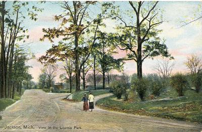 Jackson, Mich, View in the Loomis Park