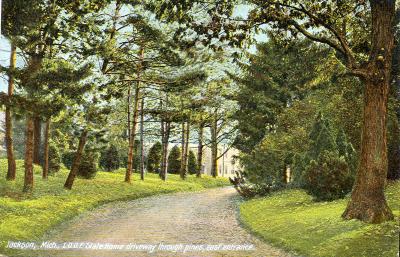 Jackson, Mich. I.O.O.F. State Home driveway through pines, east entrance