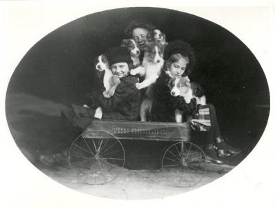 Ella Sharp & children with dogs