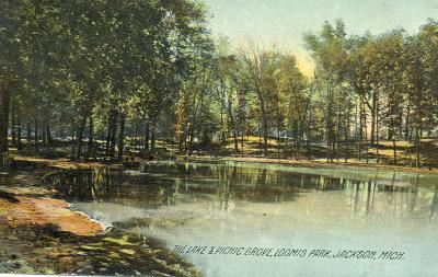 The Lake & Picnic Grove, Loomis Park, Jackson, Mich.