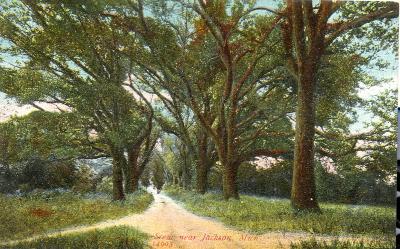  Scene Near Jackson