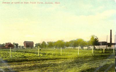 Inmates at Work on State Prison Farm, Jackson, Mich.