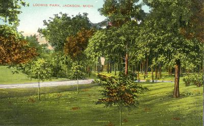 Loomis Park, Jackson, Mich. 