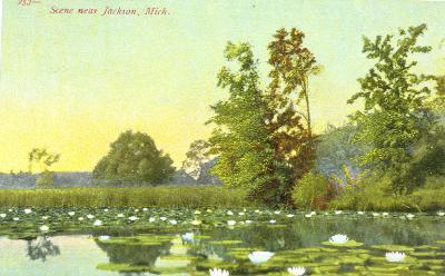 Scene near Jackson, Mich.
