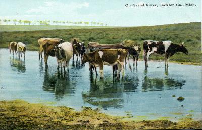 On Grand River, Jackson Co., Mich.