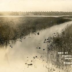 View of Vineyard Lake, near Brooklyn, Mich.