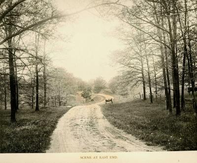 Scene at East End