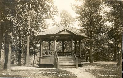 Loomis Park, Jackson, Mich. 