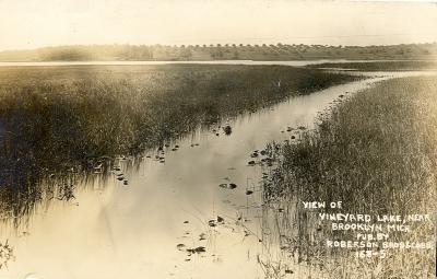 View of Vineyard Lake, near Brooklyn, Mich.