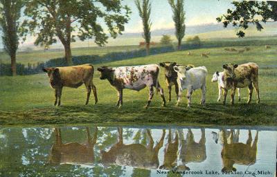 Near Vandercook Lake, Jackson Co., Mich.